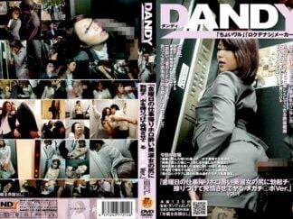 DANDY-113